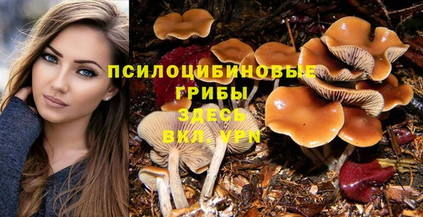 МДМА Армянск