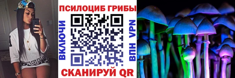 площадка формула  Макушино  Галлюциногенные грибы Psilocybe 