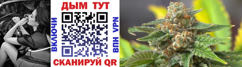 Каннабис индика  где купить наркоту  Макушино 